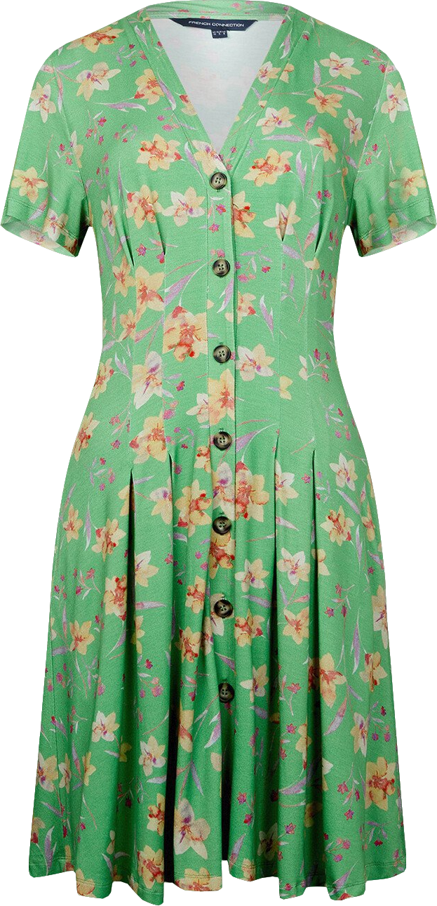 French Connection Green Camille Meadow V Neck Dress BNWT UK S