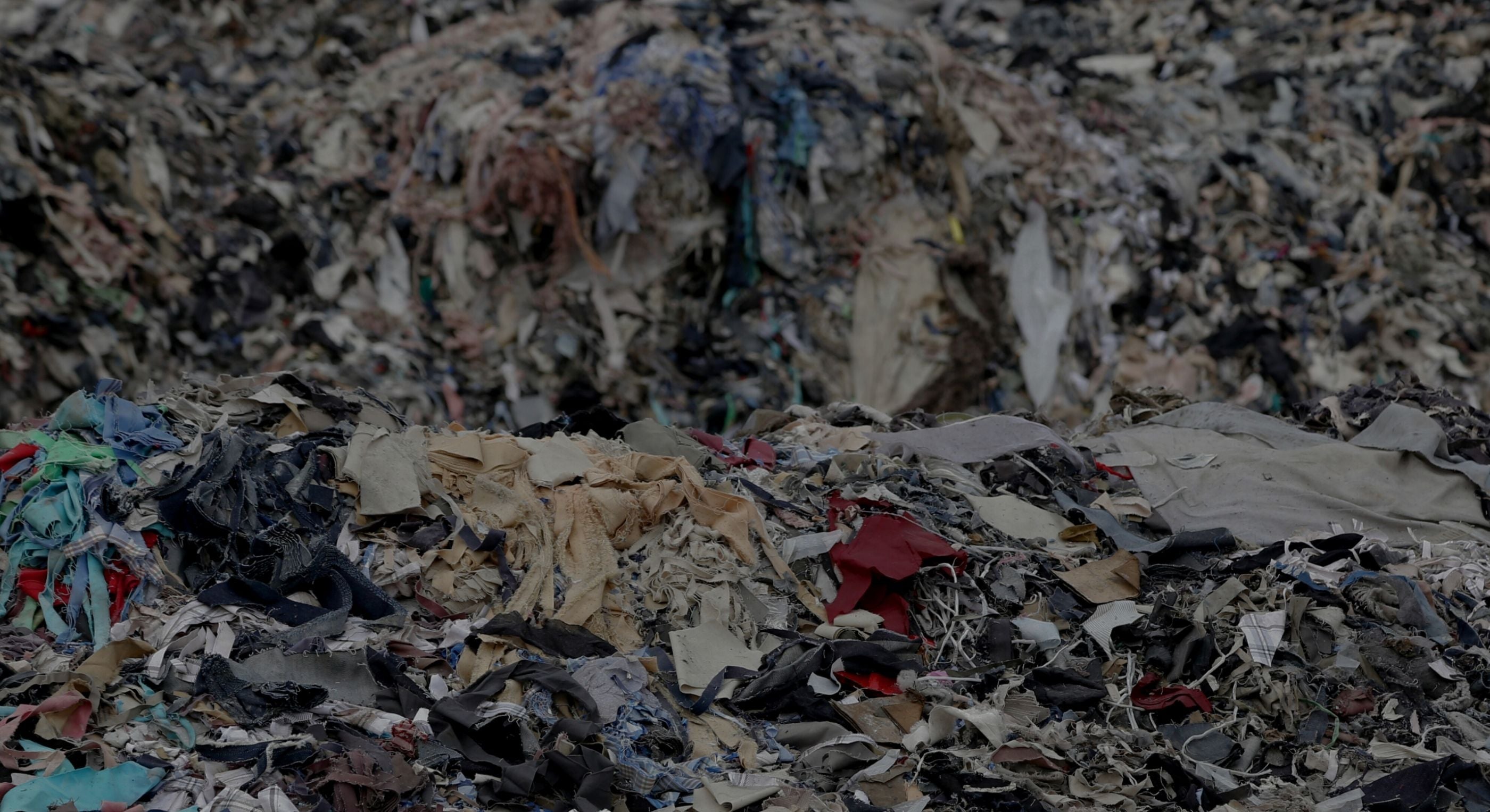 Close-up of a pile of decomposing organic matter with various colors.