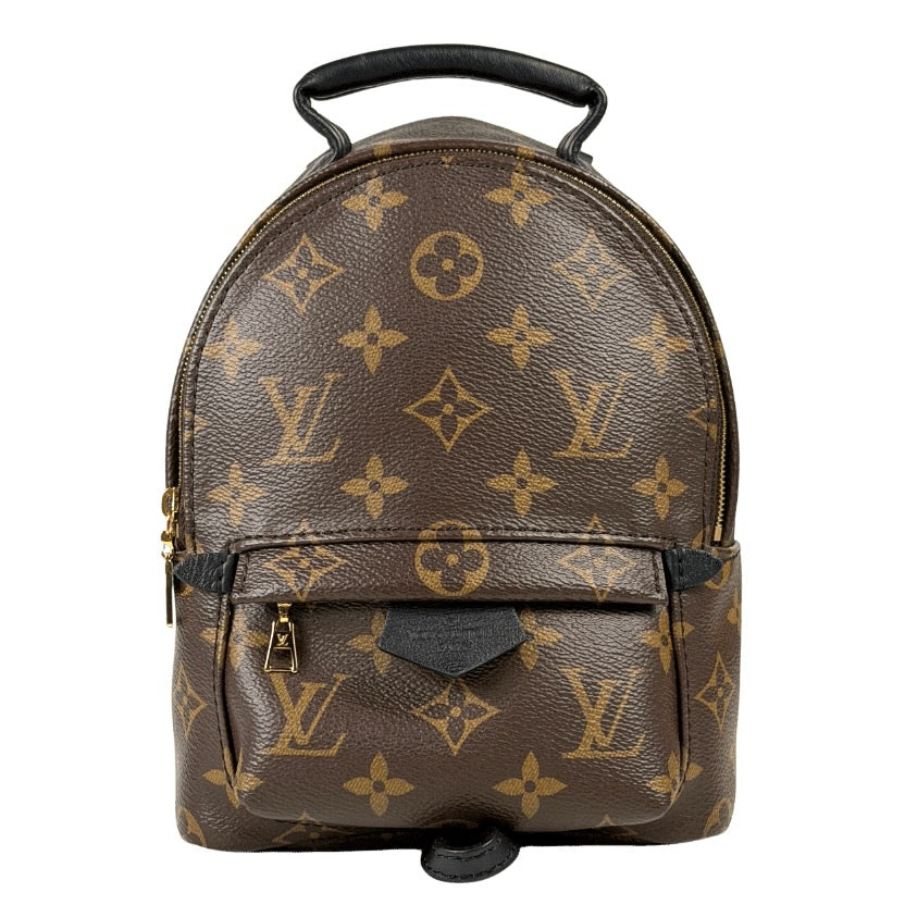 LOUIS VUITTON Brown LV Monogram Palm Springs Mini Backpack