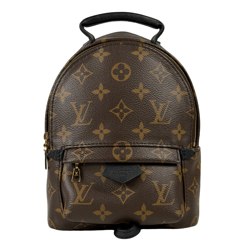 LOUIS VUITTON Brown Lv Monogram Palm Springs Mini Backpack