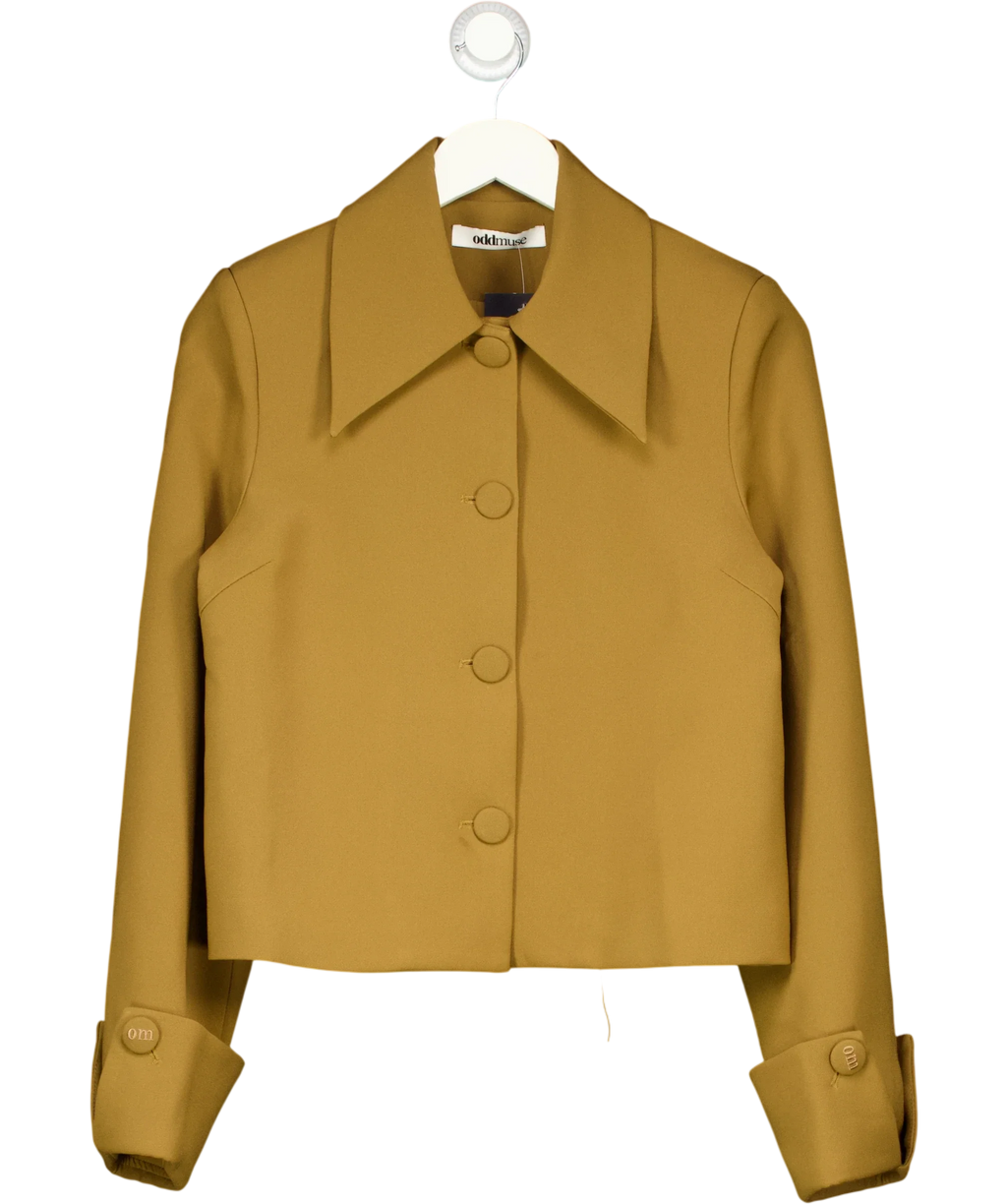 ODD MUSE Brown The Ultimate Muse Structured Crepe Jacket Olive, size UK S — front