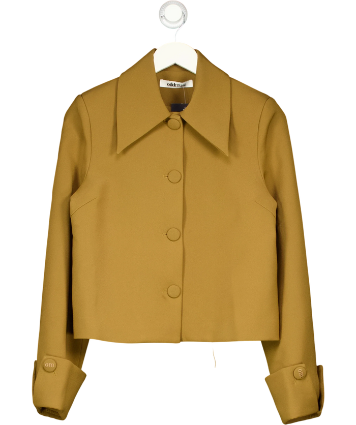 ODD MUSE Brown The Ultimate Muse Structured Crepe Jacket Olive UK S
