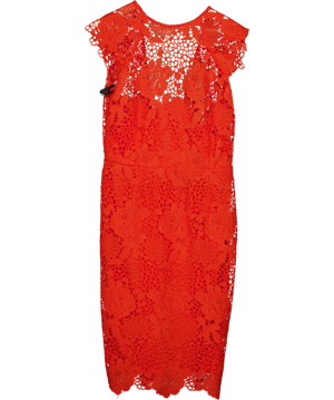Paper Dolls Tall Orange Guipure Lace Dress UK 14