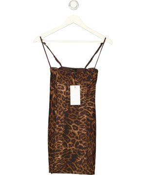 ZARA Brown Animal Print Corsetry-inspired Tulle Dress UK S