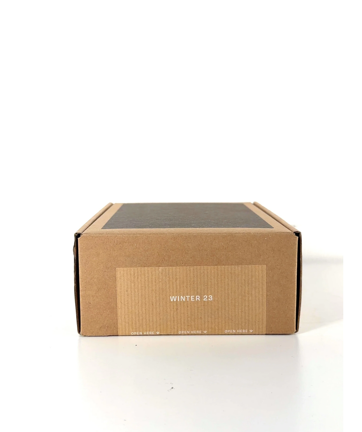Ffern Winter 23 Discovery Set 31ml — Close up of shade