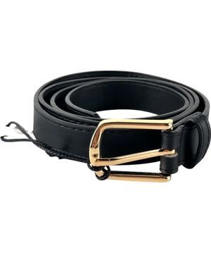 Zara Black and Metallic Gold Buckle Belt