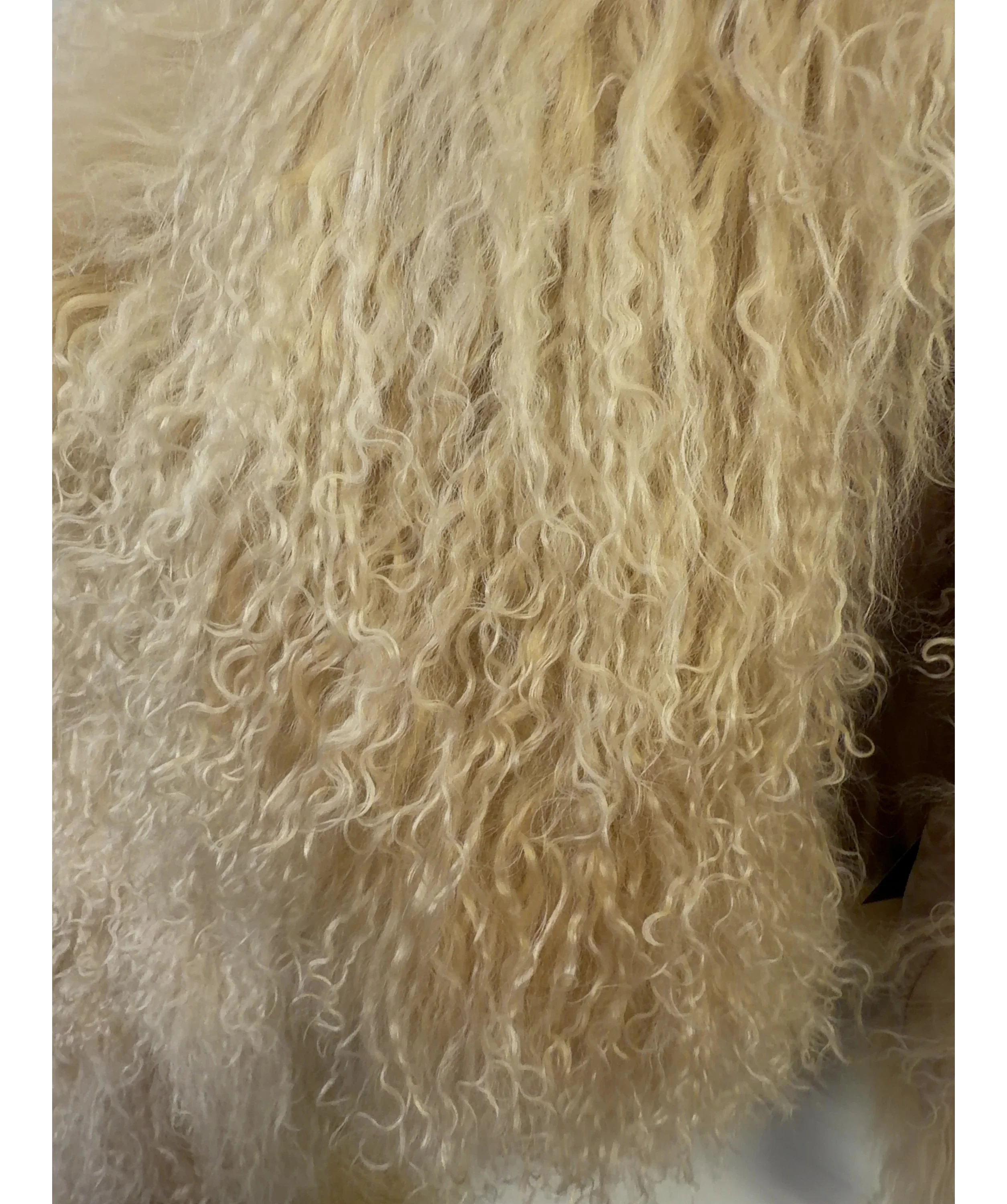 FOX LONDON Cream Colour, size UK S — label