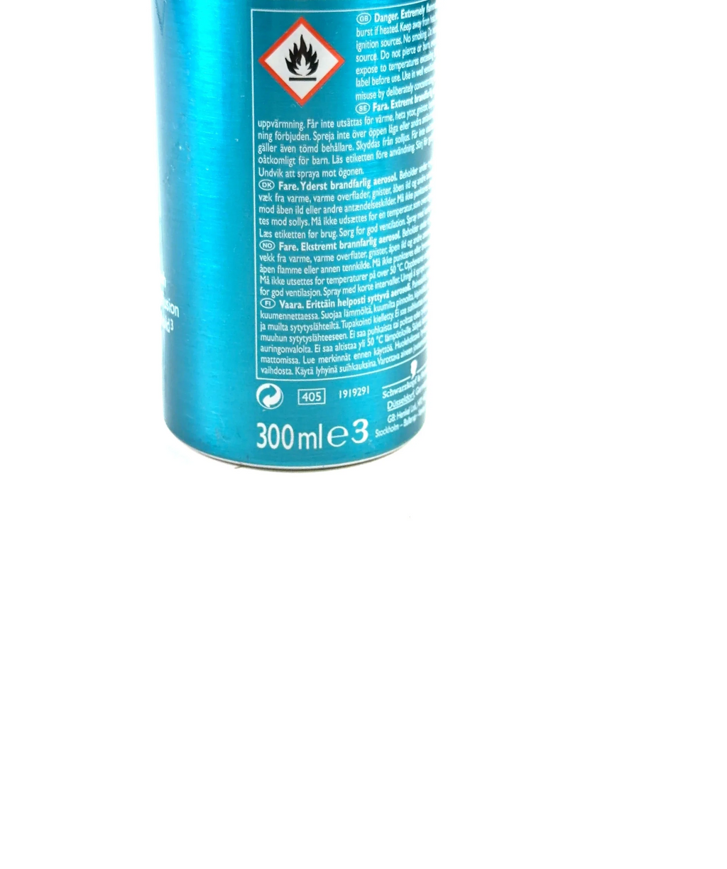 SCHWARZKOPF got2b Mind Blowing Fast Dry Hairspray, size 300ml — care label