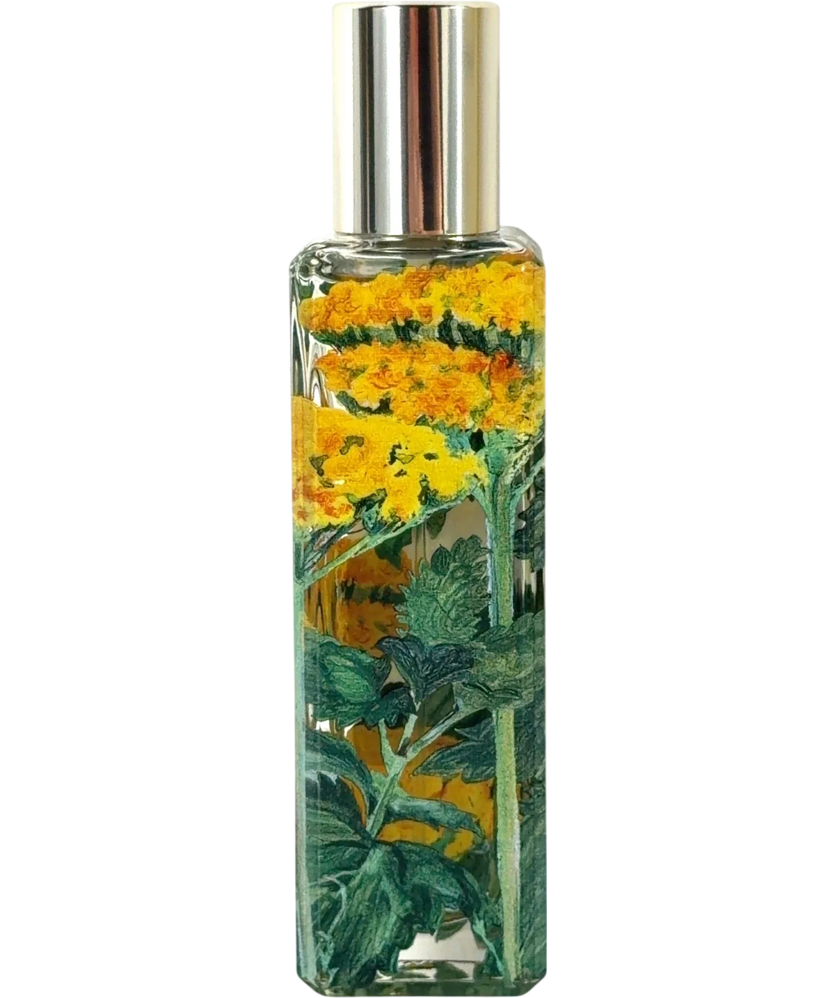 Jo Malone London wild achillea Wild Achillea Cologne, size 30ml — back