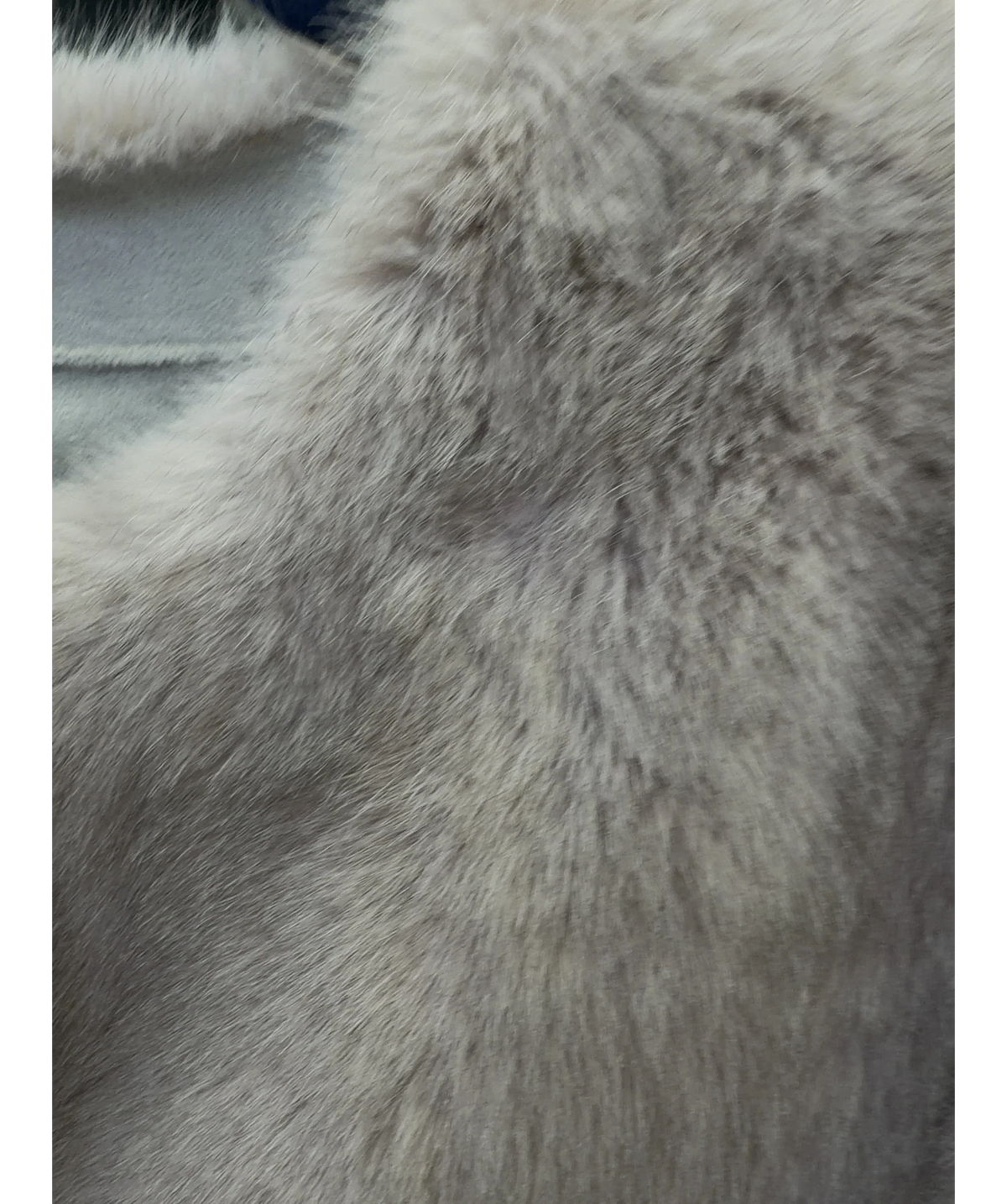 MARCÉLA beige Colour, size UK M — label