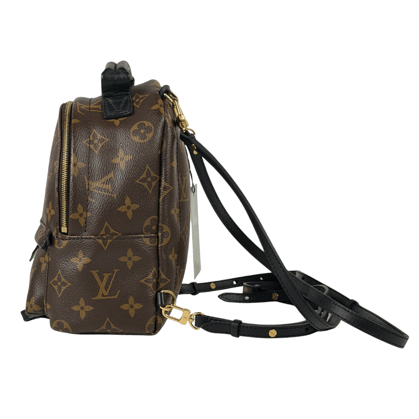 LOUIS VUITTON Brown Lv Monogram Palm Springs Mini Backpack