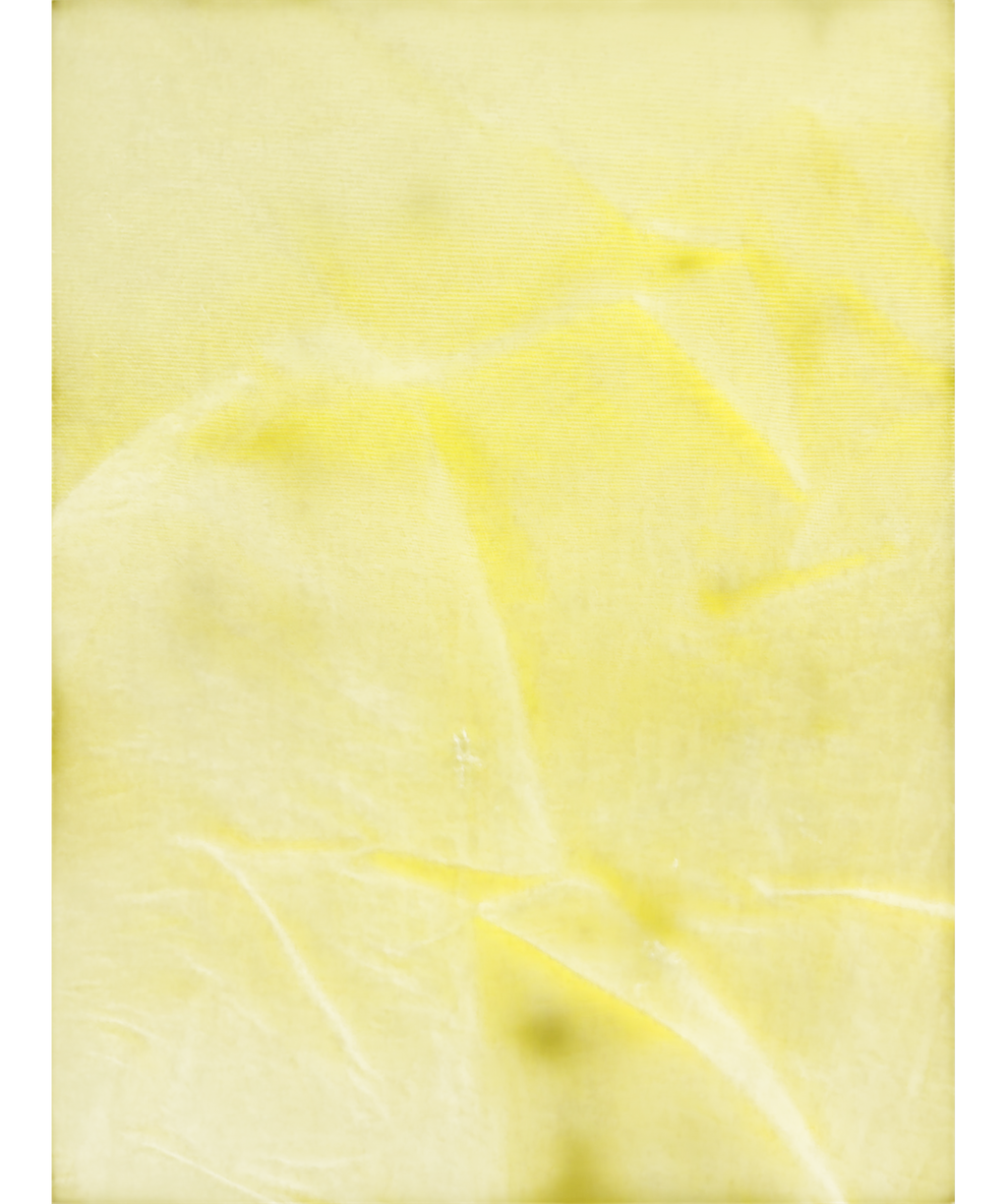 RASTY. Yellow Colour, size UK L — fabric detail