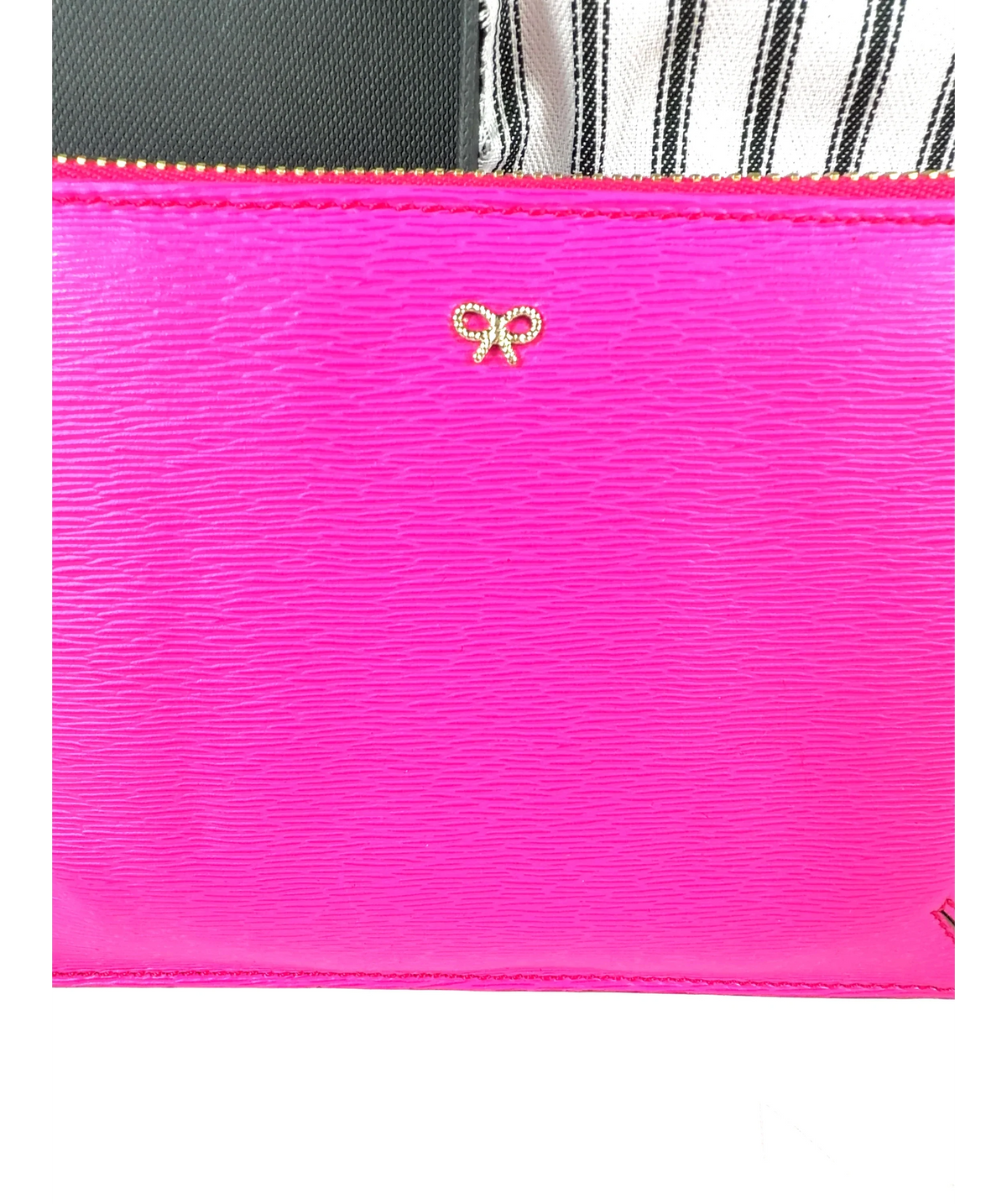 Anya Hindmarch Pink Colour — fabric detail