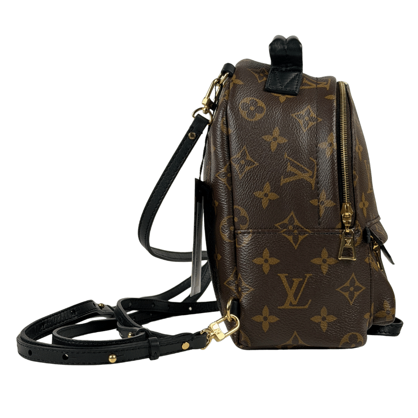 LOUIS VUITTON Brown Lv Monogram Palm Springs Mini Backpack