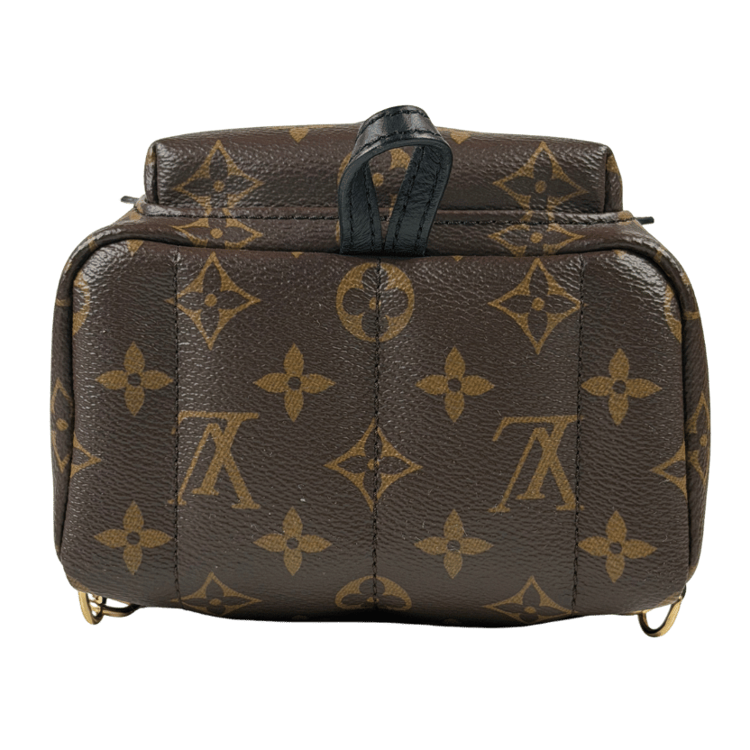 LOUIS VUITTON Brown LV Monogram Palm Springs Mini Backpack – Reliked