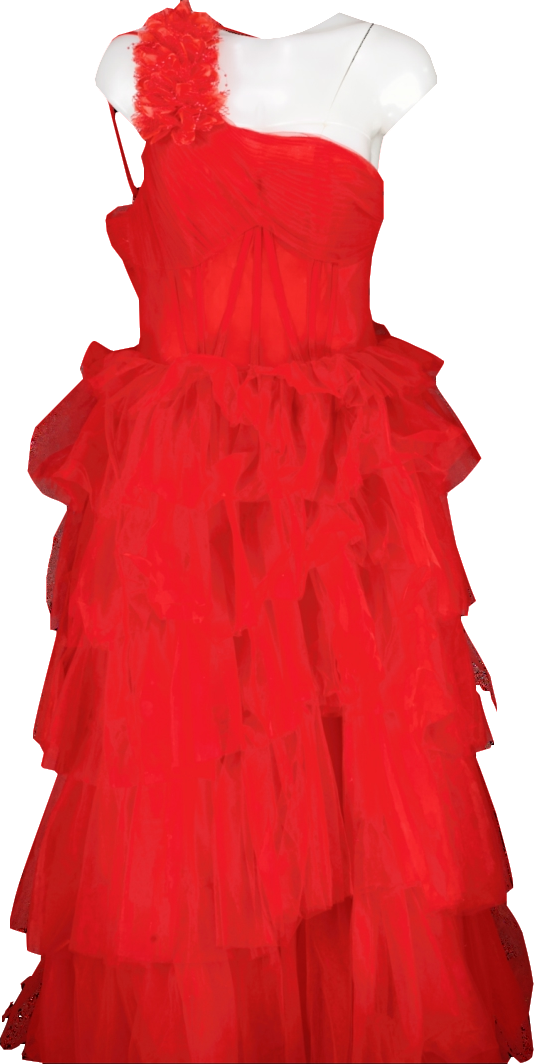 VIP Girl Red Flower Detail Tulle Maxi Dress UK S