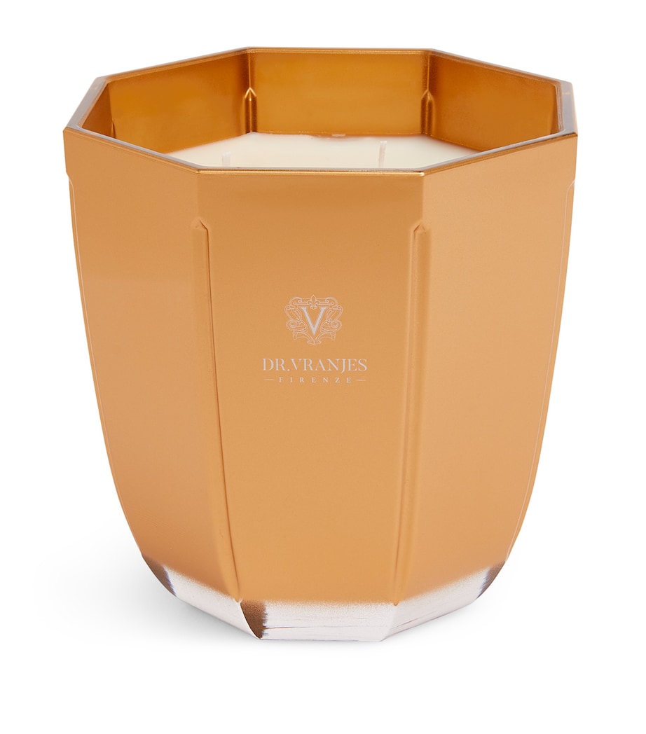Dr. Vranjes White Gold Oud Nobile Candle 500g