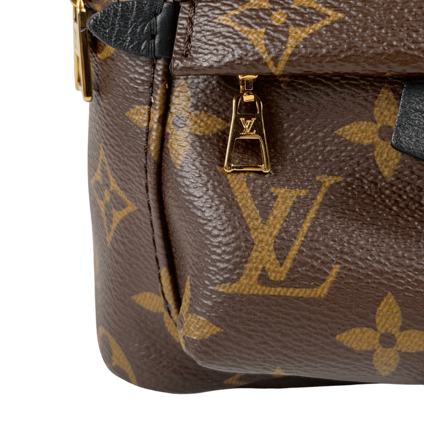 LOUIS VUITTON Brown Lv Monogram Palm Springs Mini Backpack