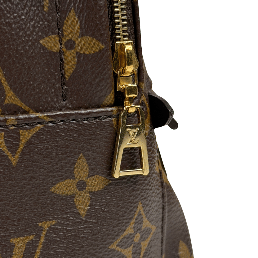 LOUIS VUITTON Brown Lv Monogram Palm Springs Mini Backpack