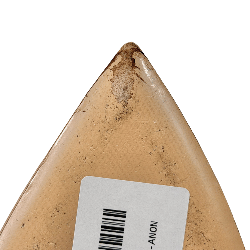 GIANVITO ROSSI Nude Crystal Embellished Pointed Toe Platform Slide Sandal UK 6 EU 39