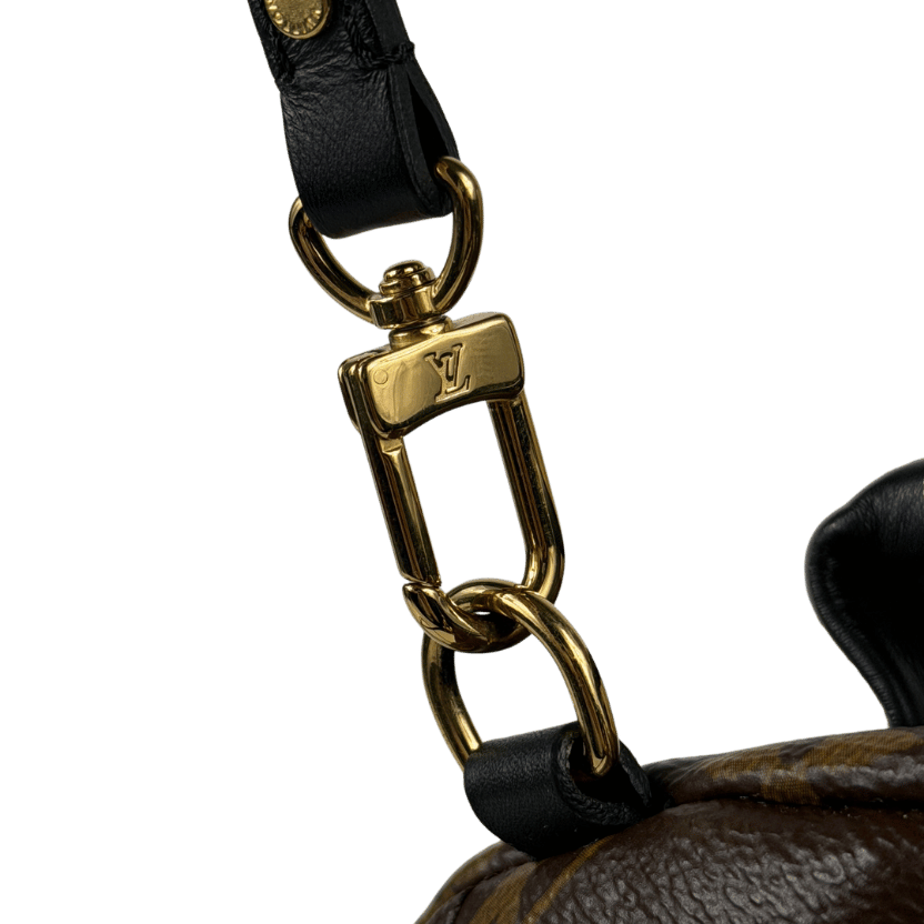 LOUIS VUITTON Brown Lv Monogram Palm Springs Mini Backpack