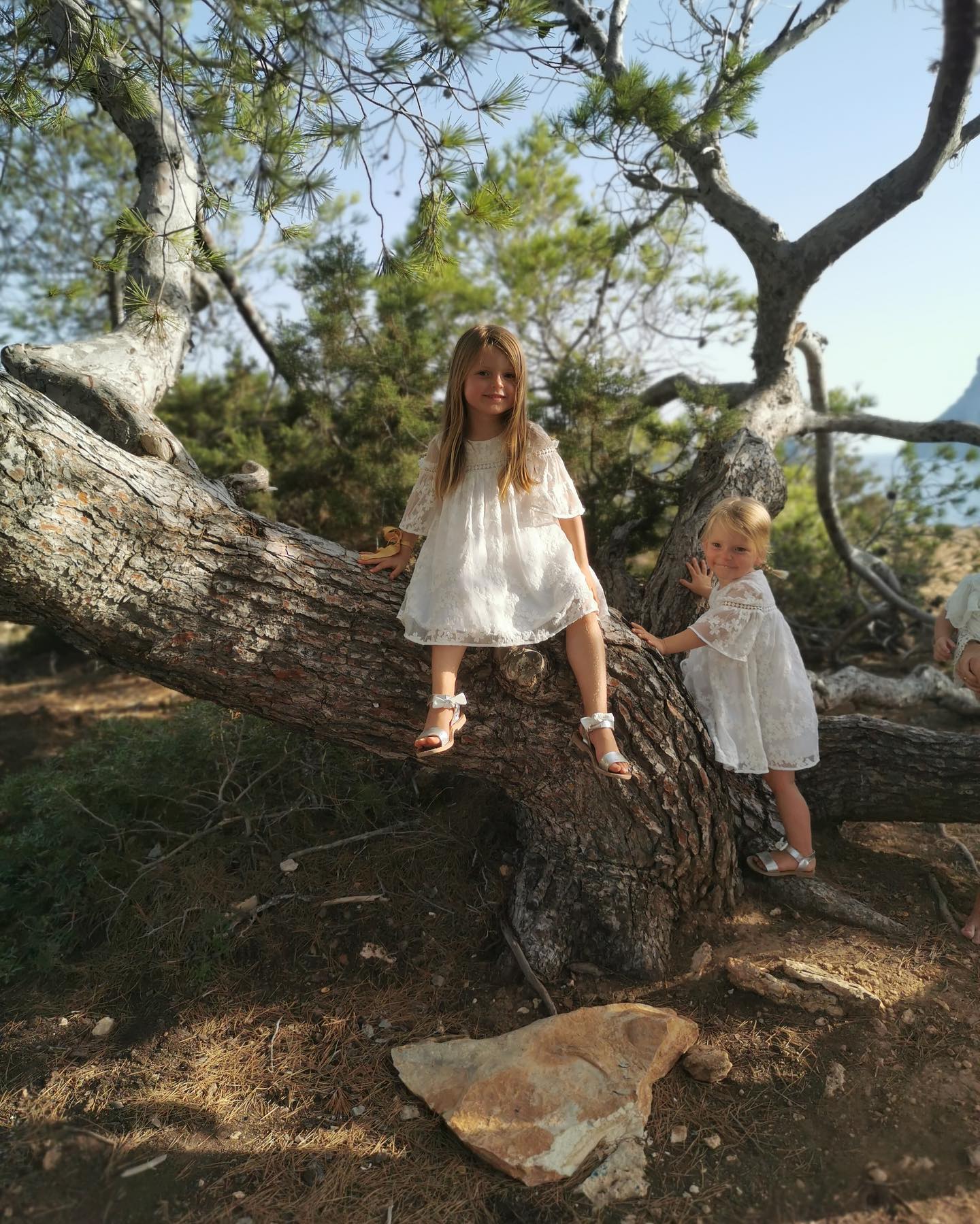 Tartine et Chocolat Embroidered White Tulle Dress 3 Years