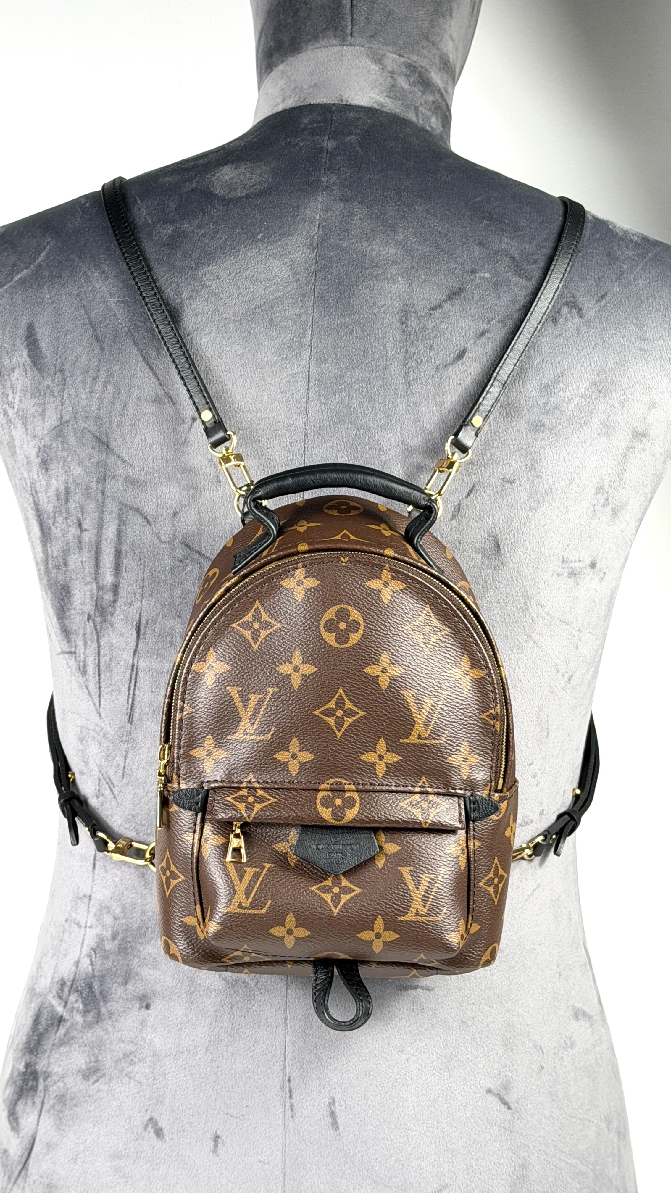 LOUIS VUITTON Brown LV Monogram Palm Springs Mini Backpack – Reliked