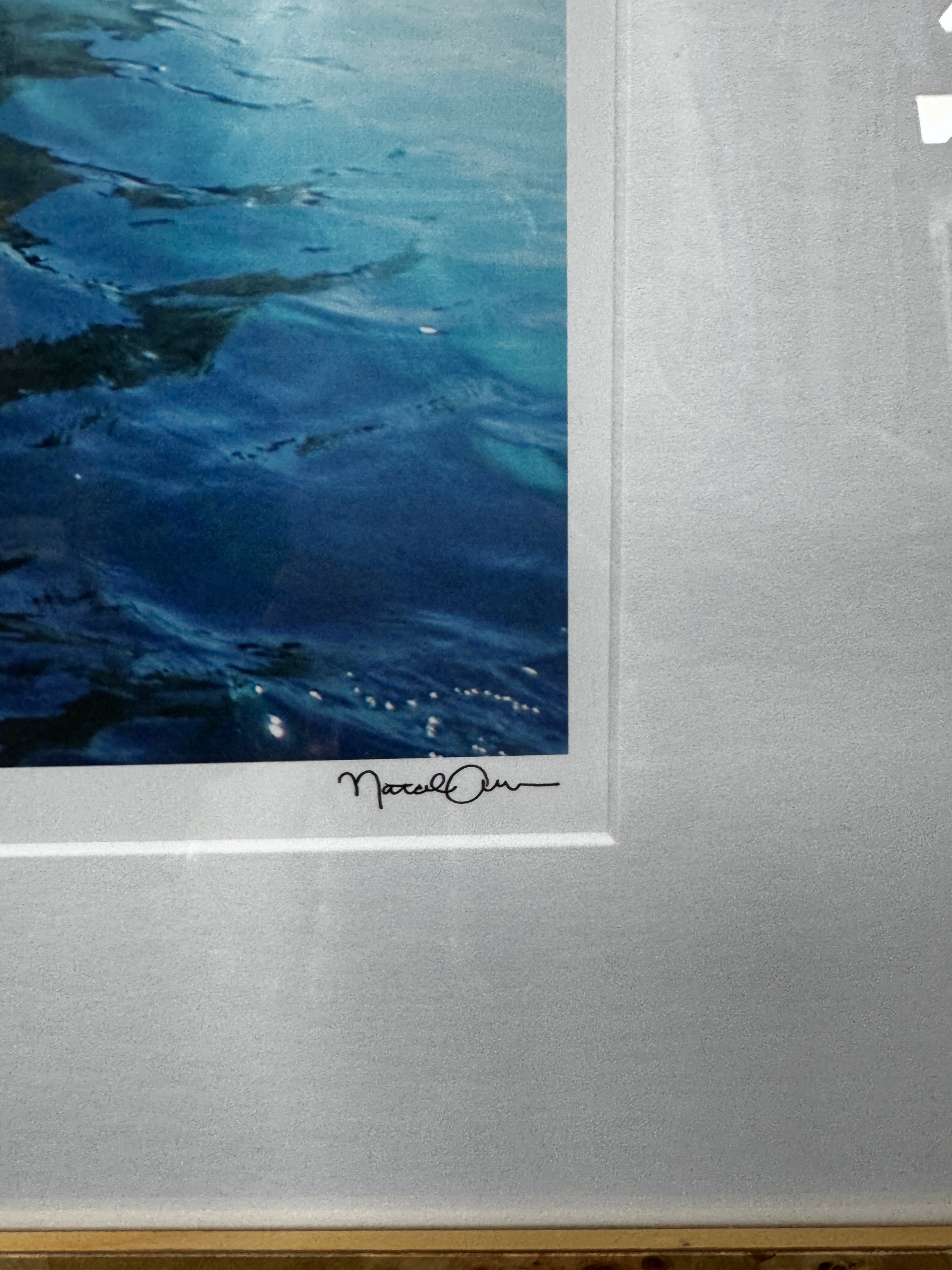 Natalie Obradovich 'Positano Boating' Framed Photograph In Natural Burr Wood Frame