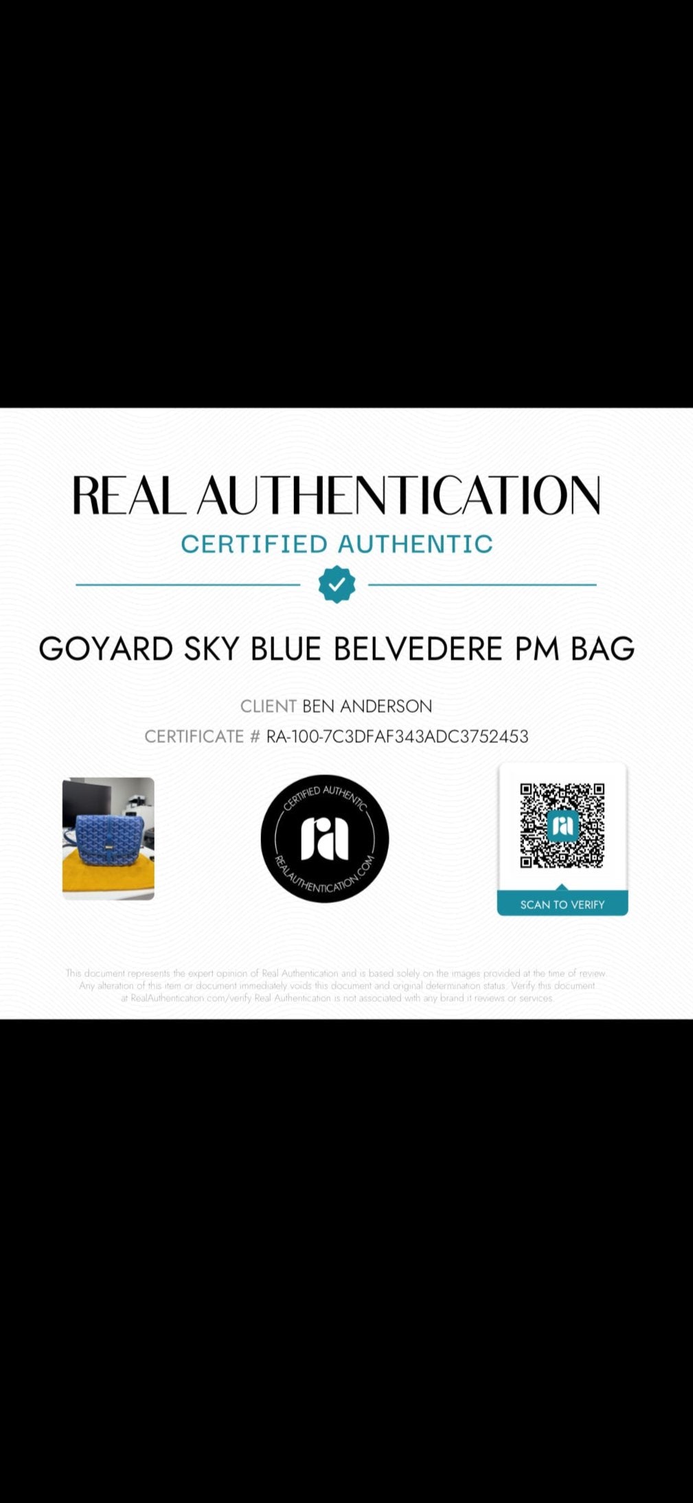 Goyard Sky Blue Belvedere PM Bag