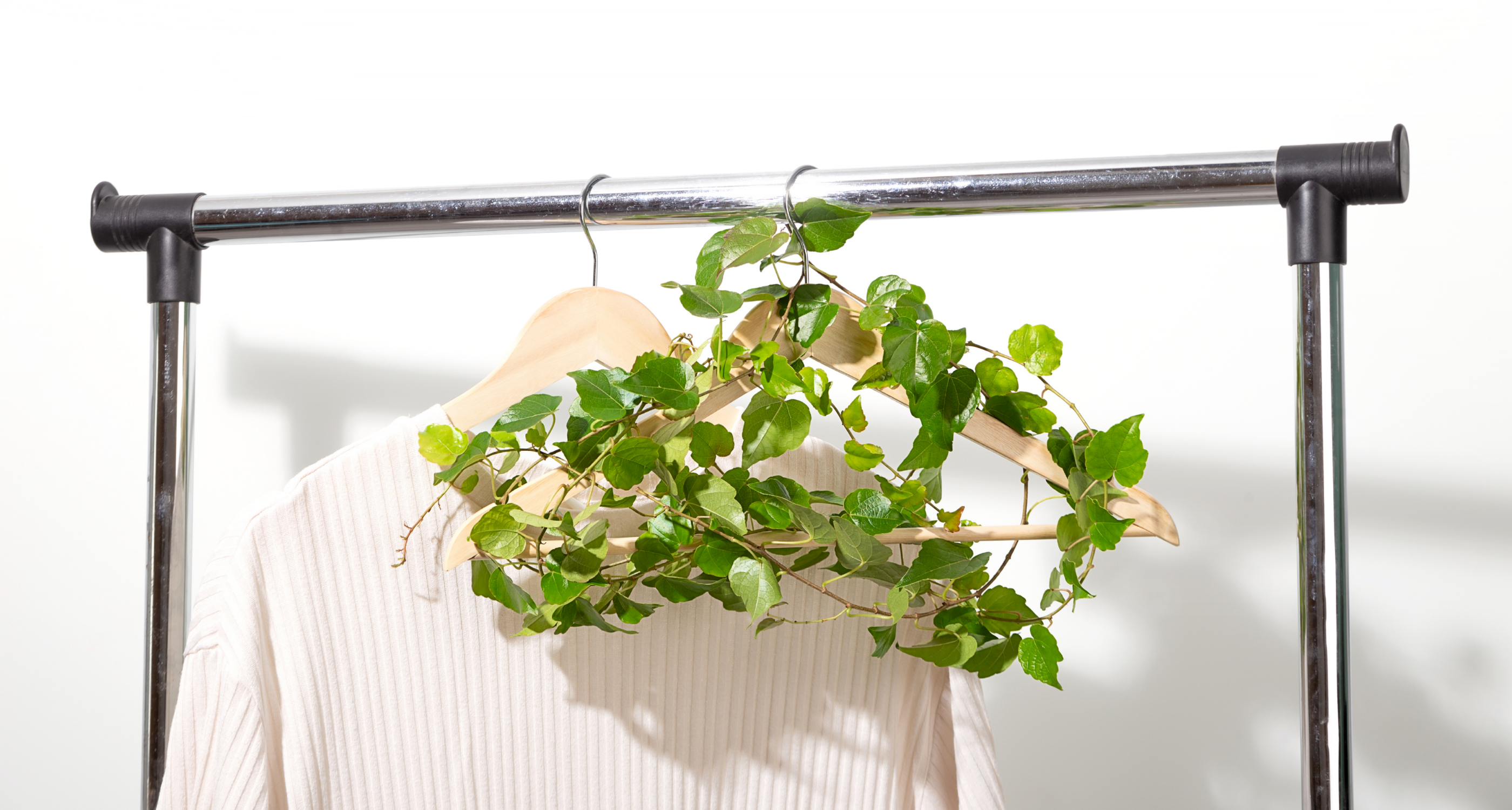 Green plant on a hanger attached to a clothing rack with a white background
