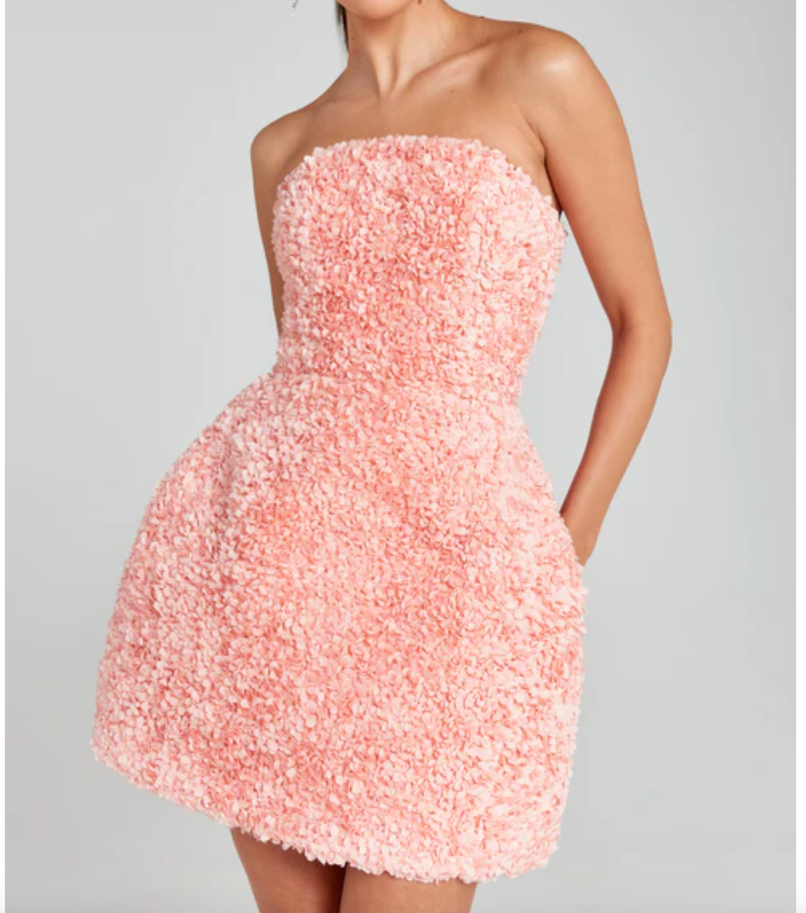 Nadine Merabi Pink Maisy 3d Floral Embroidered Structured Dress UK 10