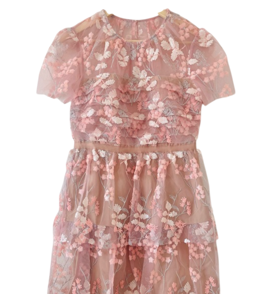 Self Portrait Pink embroidered lace Tiered Mini Dress UK 6