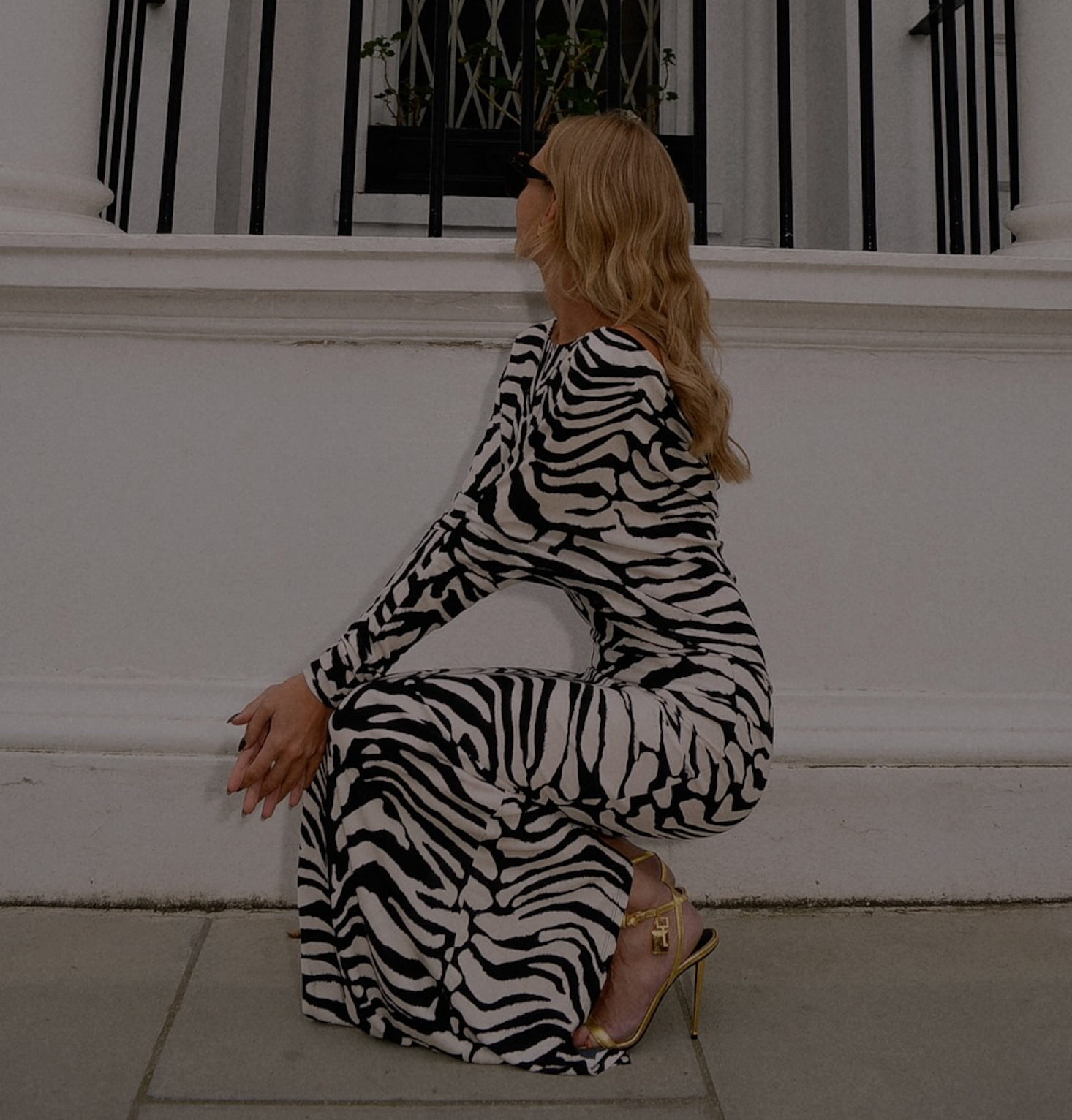 Rat & Boa Black / Ivory  Alizee Zebra Dress UK XXS