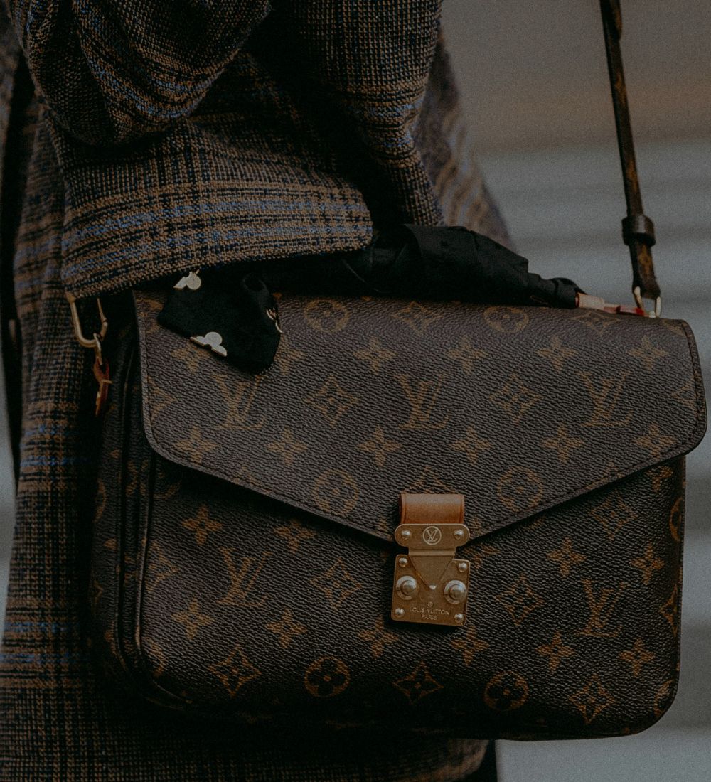 Person holding a brown patterned handbag with a blurred background
