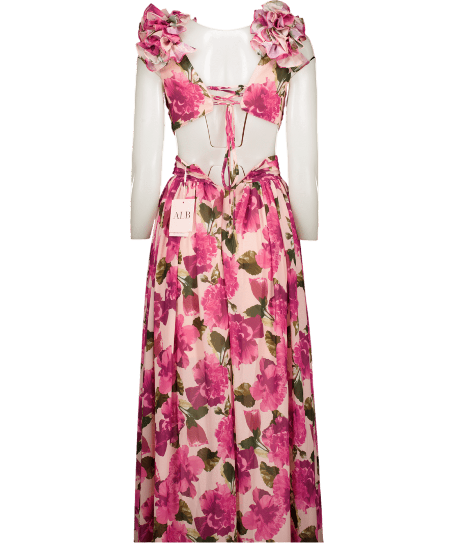 ALB Anne Louise Pink Floral Maxi Dress UK XS - Reliked