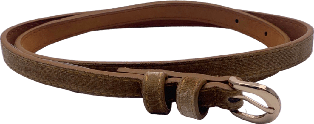 Anthropologie Gold Slim Belt S - Reliked