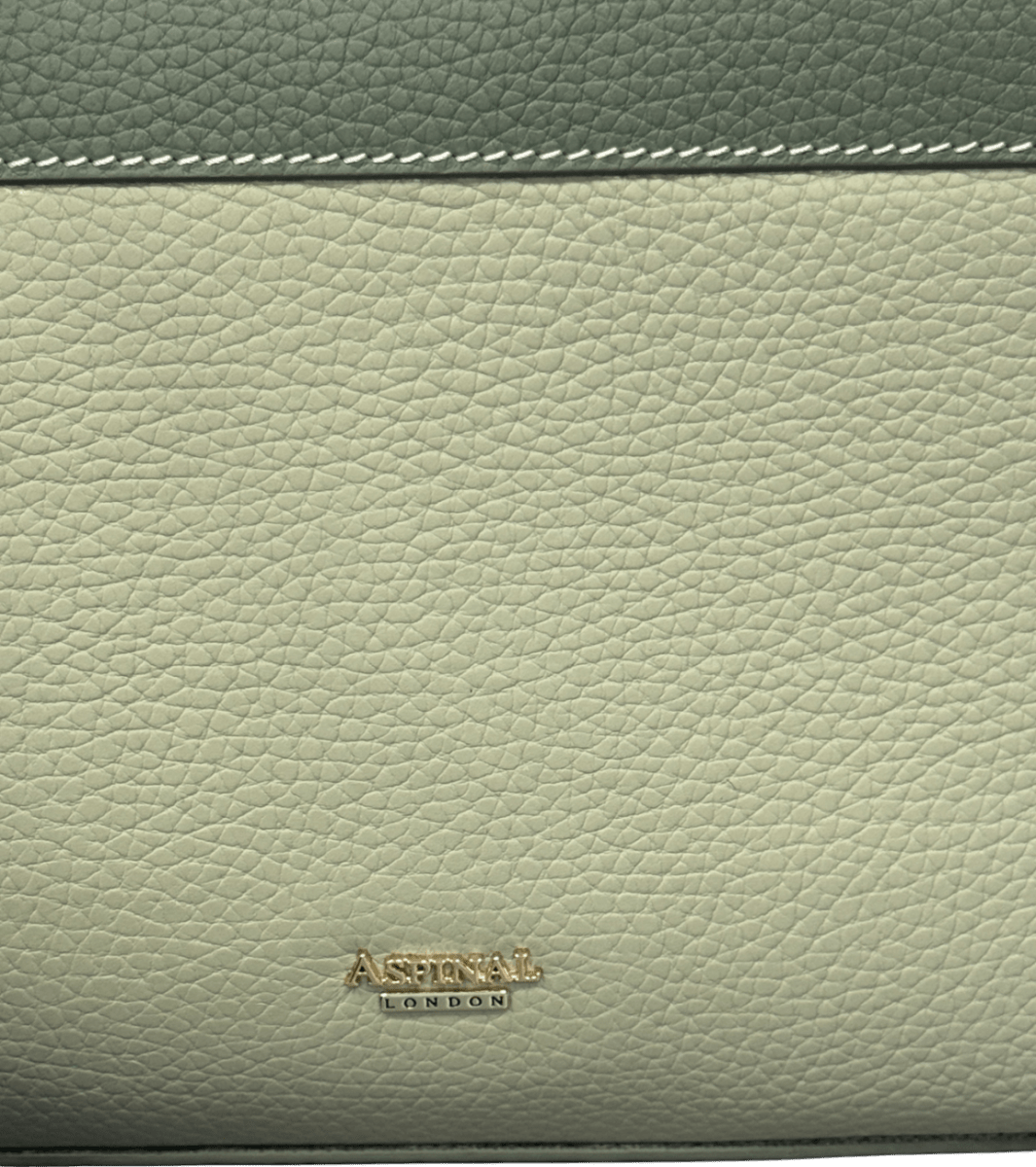 Aspinal Of London Green Medium Midi Mayfair 2 Pistachio, Sage & Ivory Pebble Leather Handbag - Reliked