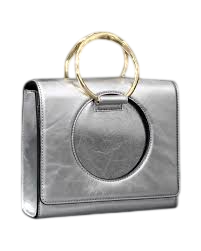 ALEXIS BITTAR The Hunter Convertible Crossbody Bag- Silver /Gold
