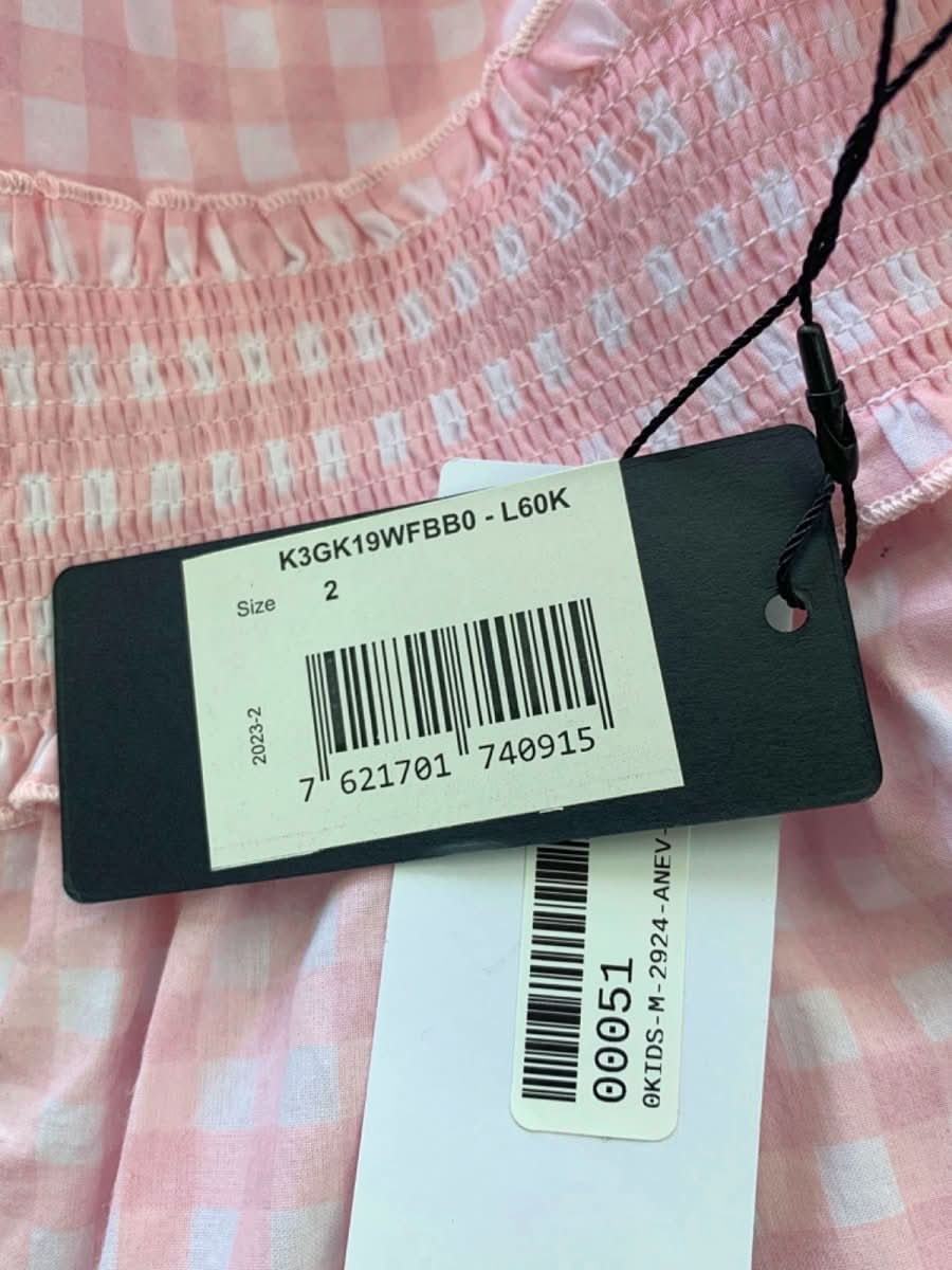 Guess Pink Gingham Smocked Dress Size 2 - Reliked