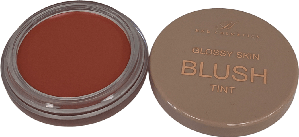 HNB Cosmetics Glossy Skin Blush Tint 01 9g - Reliked