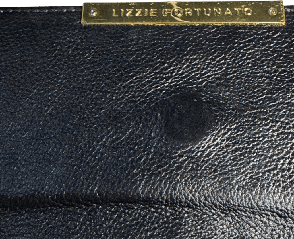 LIZZIE FORTUNATO Lily Opera Black Leather Hand Embroidered Clutch Bag - Reliked