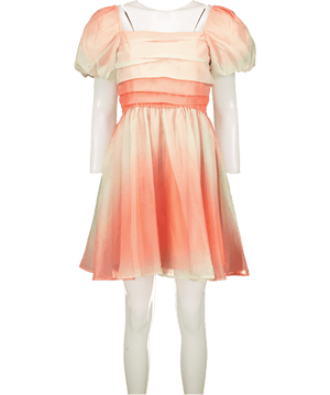 Oasis Apricot Ombre Ruched Detail Organza Skater Dress UK 12