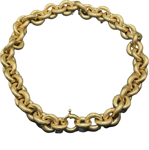 Anine Bing Metallic X Mvb - Chunky Gold Rope Link Necklace