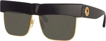 Linda Farrow Rosalie Oversized Sunglasses In Black in case