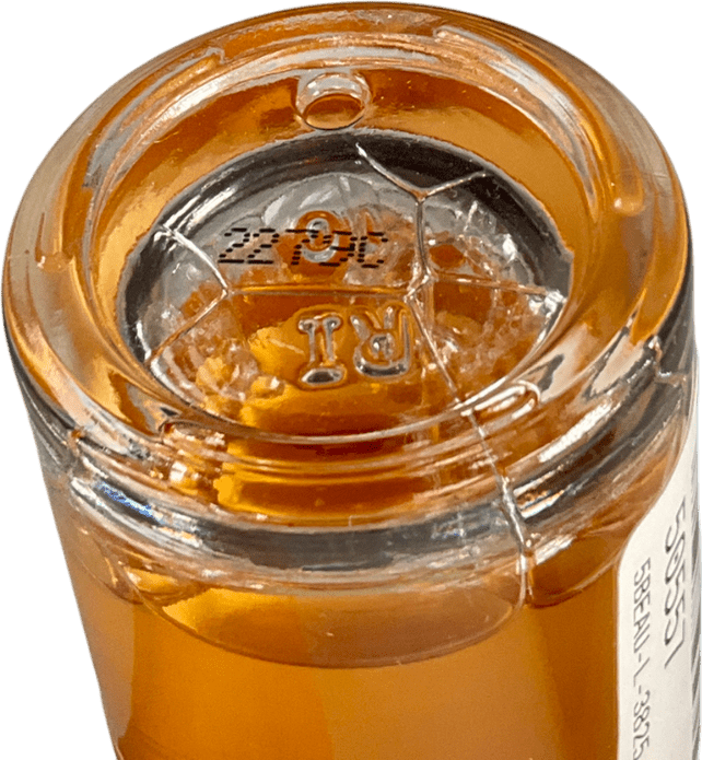 REN Perfect Canvas Smooth, Prep & Plump Essence 100ml - Reliked