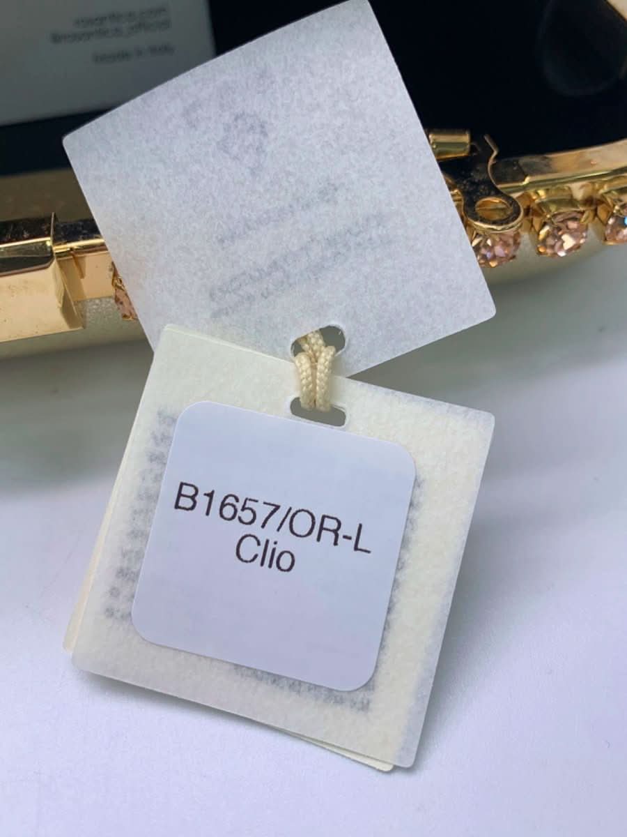 Rosantica Clio crystal - embellished leather clutch bag with shoulder chains - Reliked