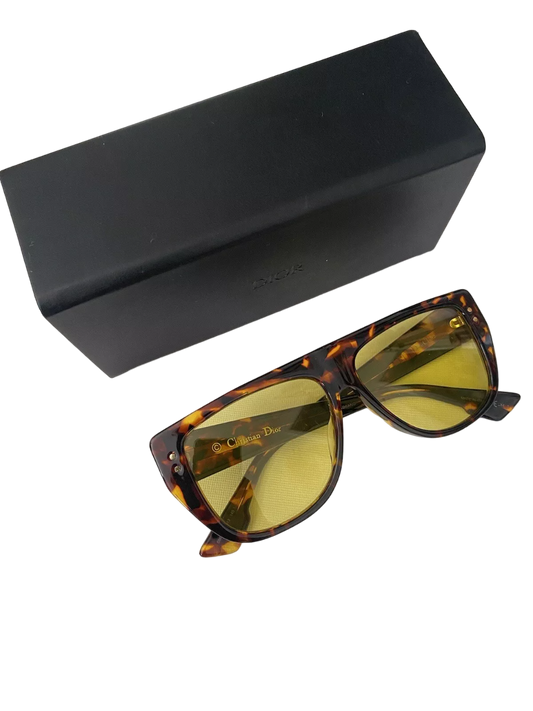 Christian Dior Brown Diorclub2 Sunglasses