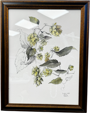 ARTFULLY WALLS Hop Plant N.2  Framed Print By Catalina Somolinos