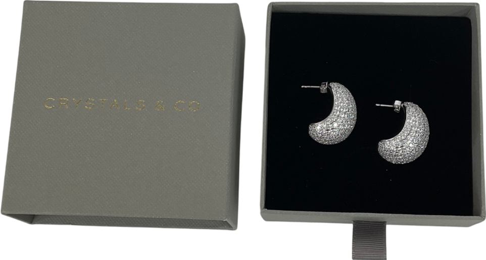 Crystals And Co Metallic Pave Bubble Dome Earrings In White Gold One Size