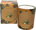 CARRIÈRE FRÈRES Beige Festive Pine & Candied Ginger Candle 185g
